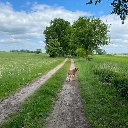 Landliebe Apartment *